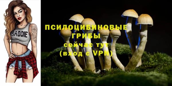 скорость Алексеевка
